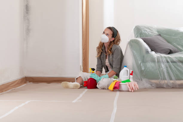 Reliable Mold Removal contractor in Milton, GA by WQB Mold Removal